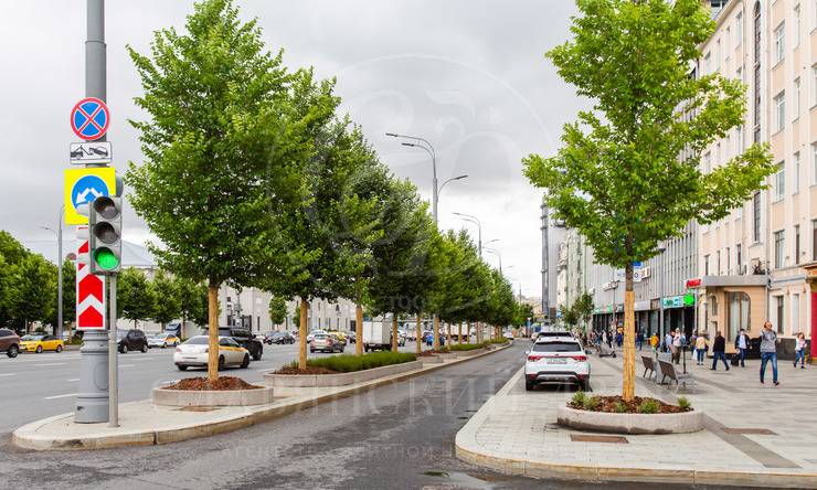 аренда  ЦАО Фрунзенская Зубовский бульв.