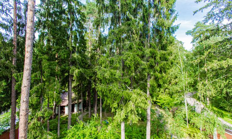 Лот-8987-226029 аренда дома Рублево-Успенское шоссе Сосновый Бор