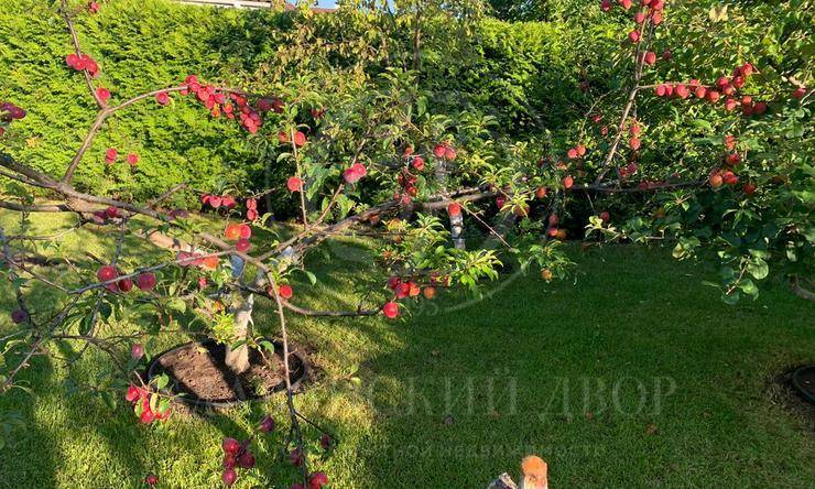 Лот-9011-226228 аренда дома Новорижское шоссе Гринфилд