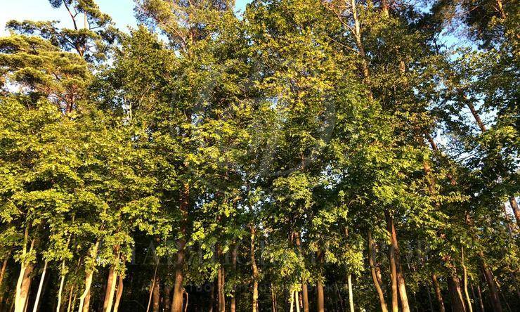 Лот-8541-226690 аренда дома Рублево-Успенское шоссе Раздоры-2