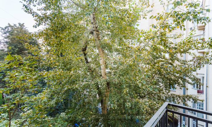 Лот-11680-228548 Продажа квартиры Патриаршие Пруды