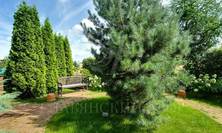 Лот-9026-229363 аренда дома Новорижское шоссе Маленькая Италия