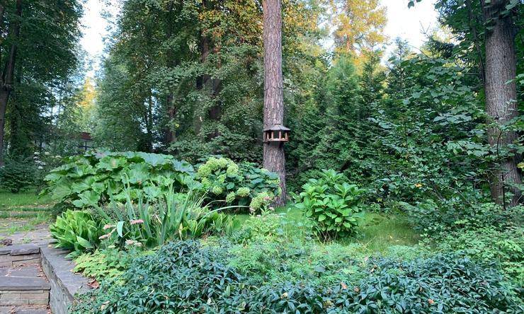 Лот-9098-232624 аренда дома Новорижское шоссе Резиденция Рублево