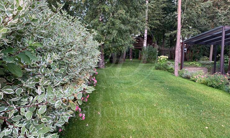 Лот-9098-232646 аренда дома Новорижское шоссе Резиденция Рублево