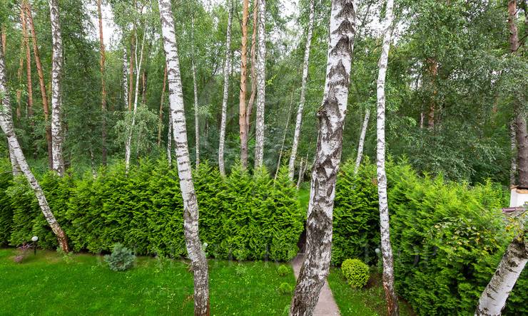 Лот-9139-237072 аренда дома Рублево-Успенское шоссе Ильинское-Усово 