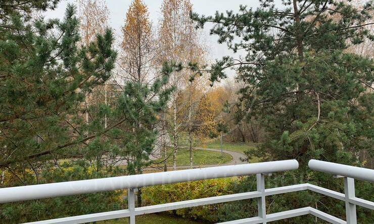 Лот-6308-239728 аренда дома Москва Остров-фантазий