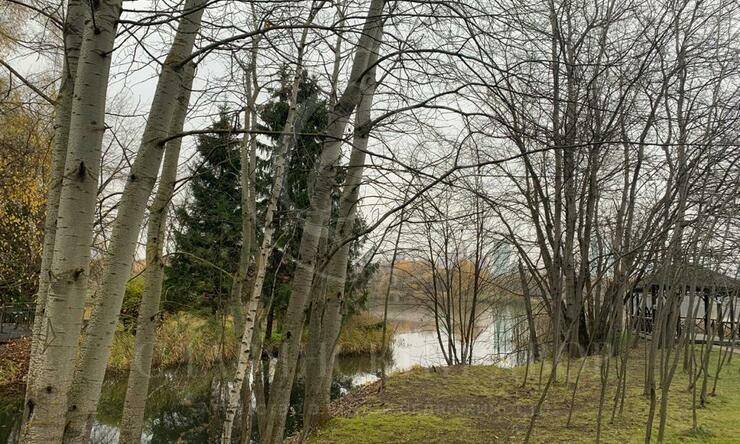 Лот-6035-239756 аренда дома Москва Остров-фантазий