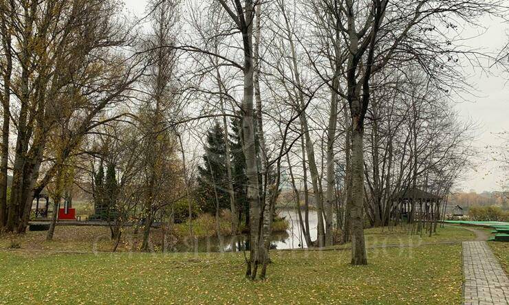 Лот-6655-239766 аренда дома Москва Остров-фантазий