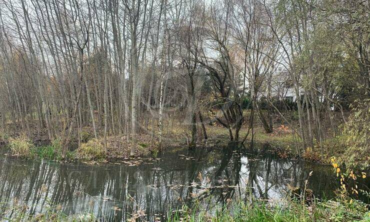 Лот-6655-239768 аренда дома Москва Остров-фантазий