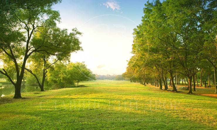 Лот-7230-240144 продажа участка Рублево-Успенское шоссе Заречье