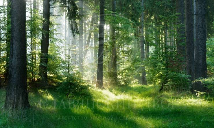 Лот-4611-240183 продажа участка Рублево-Успенское шоссе Иславское