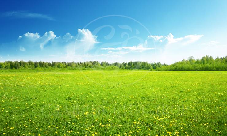 Лот-5039-240227 продажа участка Новорижское шоссе Таблово