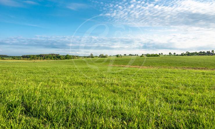 На продажу участок в поселке Успенское