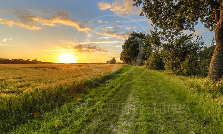 Лот-2531-240351 продажа участка Рублево-Успенское шоссе Лызлово