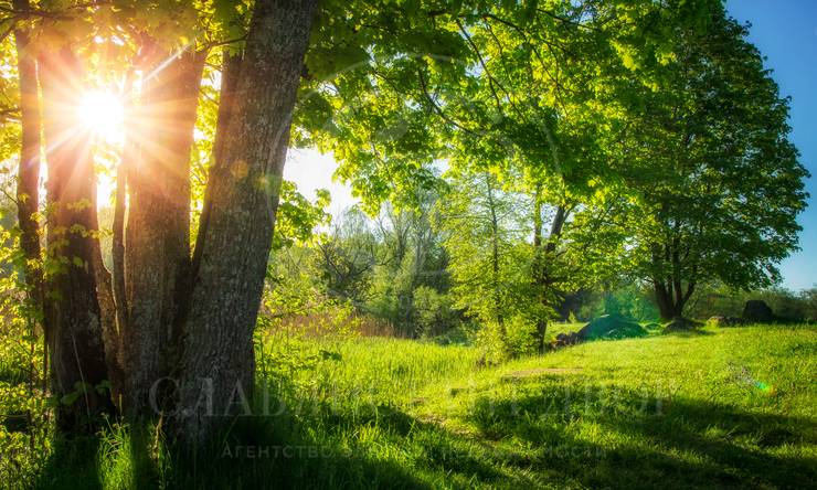 Лот-2535-240353 продажа участка Рублево-Успенское шоссе Солослово