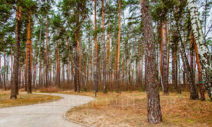 Лот-9187-241218 аренда дома Рублево-Успенское шоссе Любушкин хутор