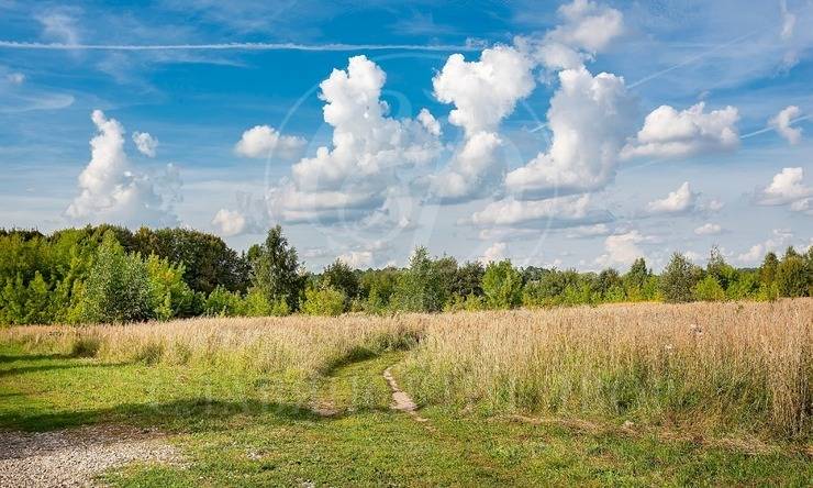 Лот-8108-243038 аренда дома Рублево-Успенское шоссе Усадьбы Усово