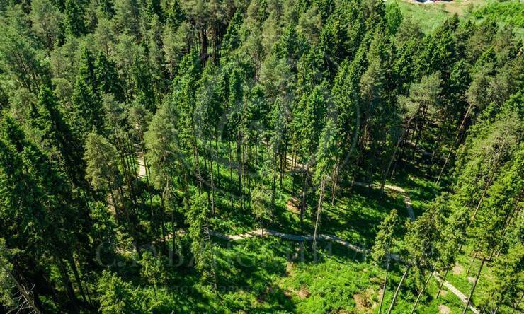 Лот-7994-250573 продажа участка Новорижское шоссе Ренессанс парк