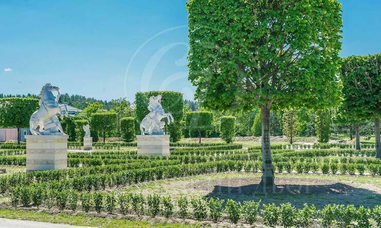 Лот-7994-250576 продажа участка Новорижское шоссе Ренессанс парк