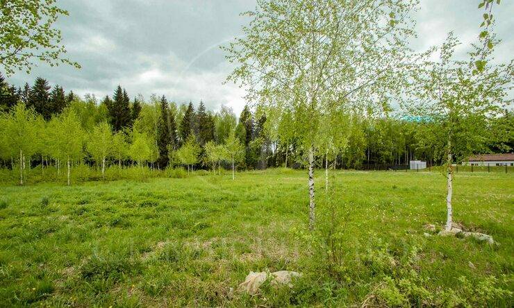 Лот-4698-251228 продажа участка Дмитровское шоссе Гольф и Яхт-клуб Пестово