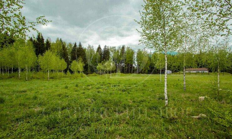 Лот-4698-251232 продажа участка Дмитровское шоссе Гольф и Яхт-клуб Пестово