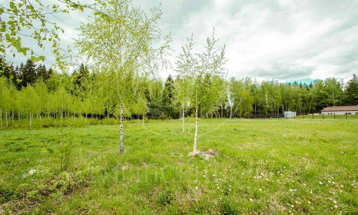 Лот-4698-251233 продажа участка Дмитровское шоссе Гольф и Яхт-клуб Пестово