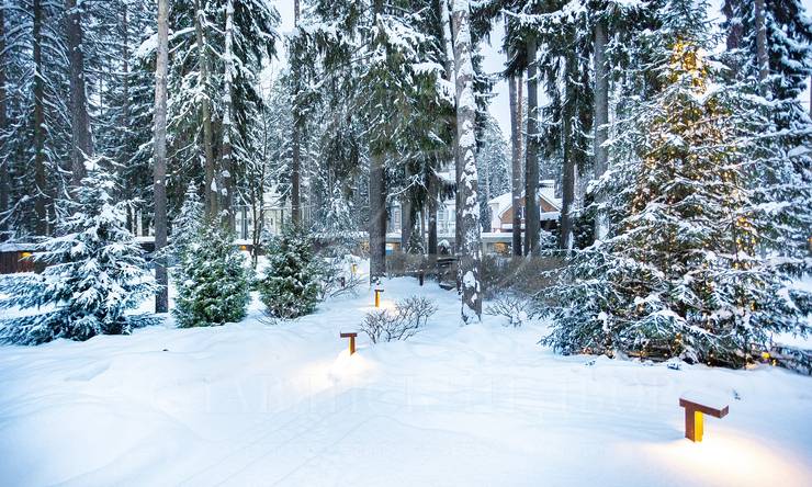 Лот-9173-252411 продажа дома 1-е Успенское шоссе Новая деревня