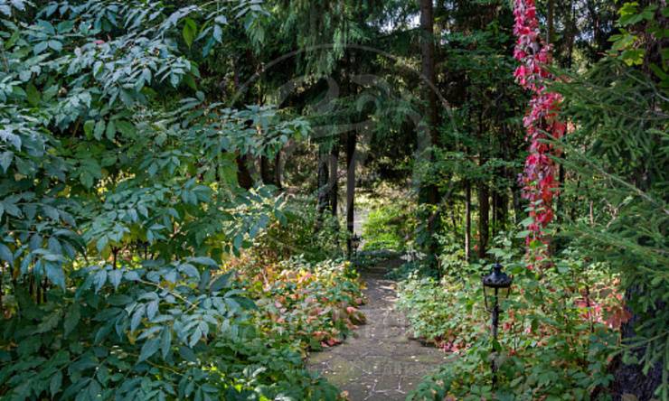 Лот-5004-252794 продажа дома 1-е Успенское шоссе Николино (Новое Николино)