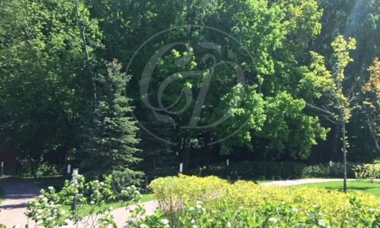 Лот-922-254143 посёлок Парк Рублево Москва Мякинино