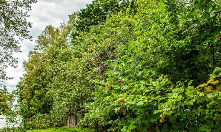 Лот-743-254843 продажа участка Рублево-Успенское шоссе Барвиха