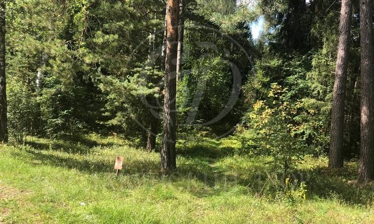 Лот-8746-258710 продажа участка Рублево-Успенское шоссе Дунино