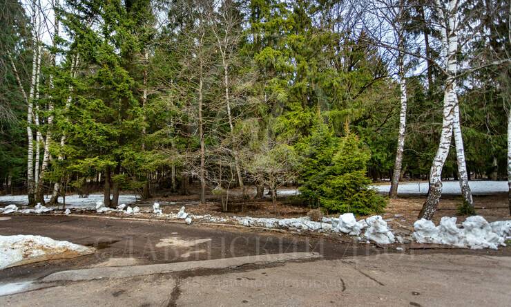 Лот-9275-259910 аренда дома Минское шоссе Лесной Городок