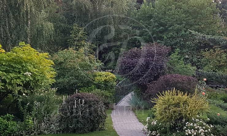 Лот-9338-263872 аренда дома Новорижское шоссе Бенилюкс