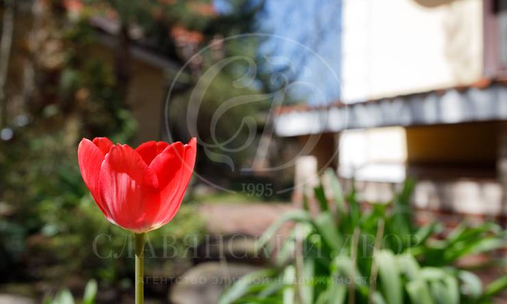 Лот-9350-264764 аренда дома Рублево-Успенское шоссе Петровский