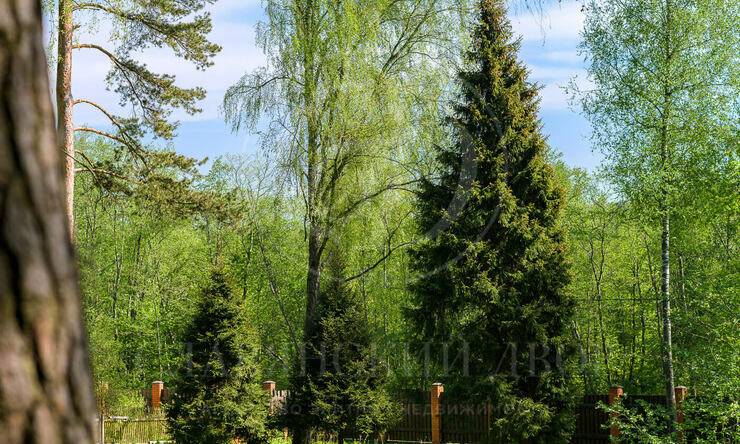 Лот-2543-266689 продажа участка Новорижское шоссе Истра