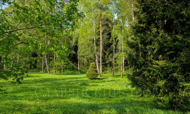 Лот-2543-266690 продажа участка Новорижское шоссе Истра