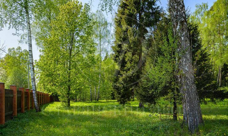 Лот-2543-266691 продажа участка Новорижское шоссе Истра