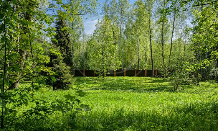 Лот-2543-266694 продажа участка Новорижское шоссе Истра