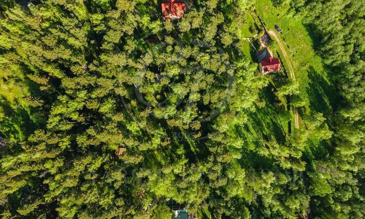 Лот-2543-266696 продажа участка Новорижское шоссе Истра