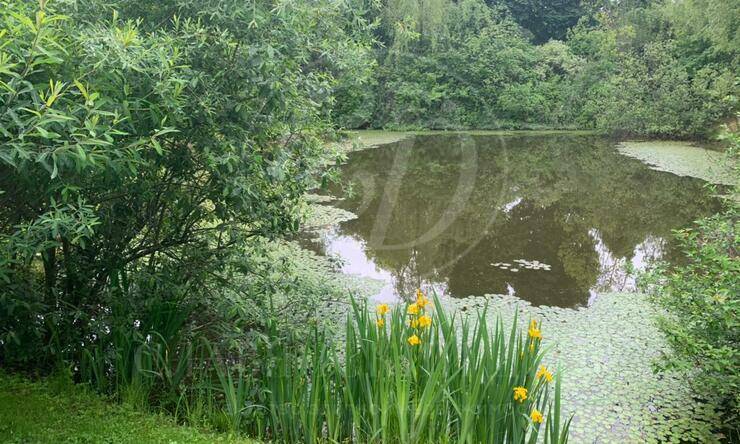 Лот-4786-268823 аренда дома Рублево-Успенское шоссе Корабельные Сосны