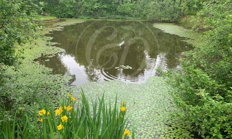 Лот-4786-268824 аренда дома Рублево-Успенское шоссе Корабельные Сосны