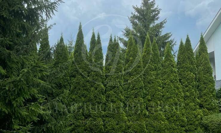 Лот-8281-275025 аренда дома Рублево-Успенское шоссе Подушкино