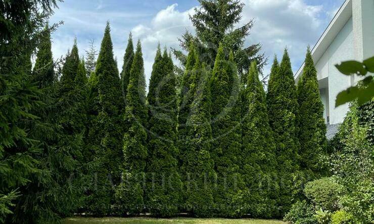 Лот-8281-275027 аренда дома Рублево-Успенское шоссе Подушкино