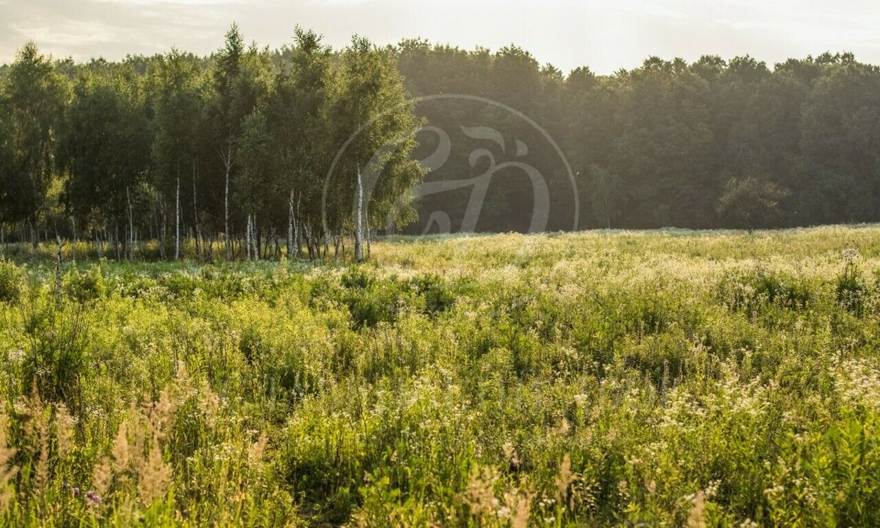 Продажа участка в поселке Бузаево