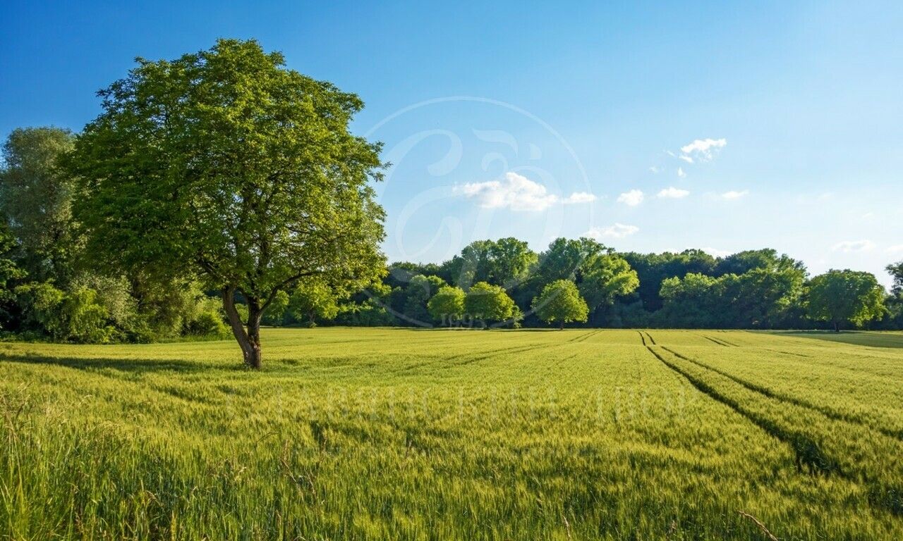 Продажа участка в поселке Раздоры