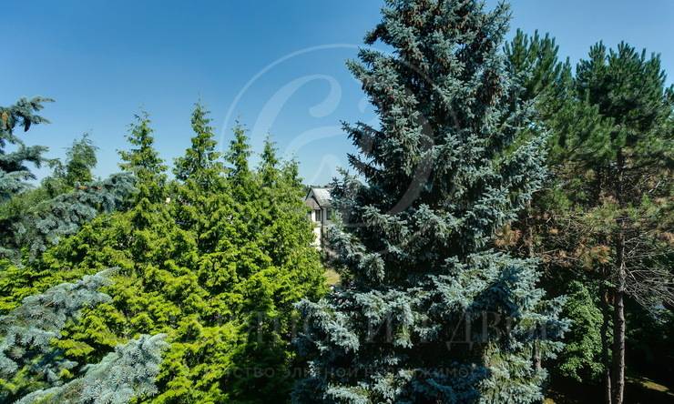 Лот-9568-277928 продажа дома Рублево-Успенское шоссе Весна