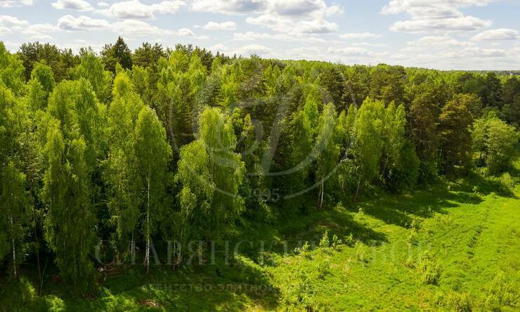 Продажа участка в поселке Молоденово