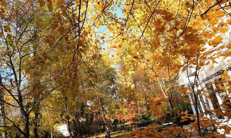 Лот-9613-280319 аренда дома Новорижское шоссе Княжье Озеро