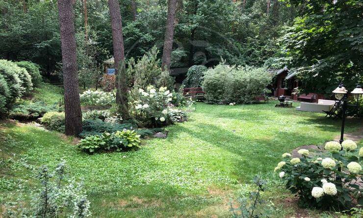 Лот-9715-284024 продажа участка Рублево-Успенское шоссе Зеленая Лощина