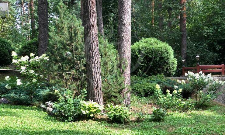 Лот-9726-284281 продажа дома Рублево-Успенское шоссе Зеленая Лощина